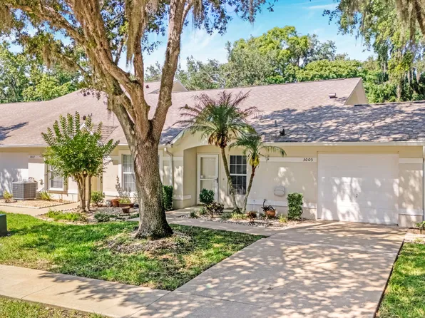 3005 Oak Hammock Dr, Port Orange, FL 32129