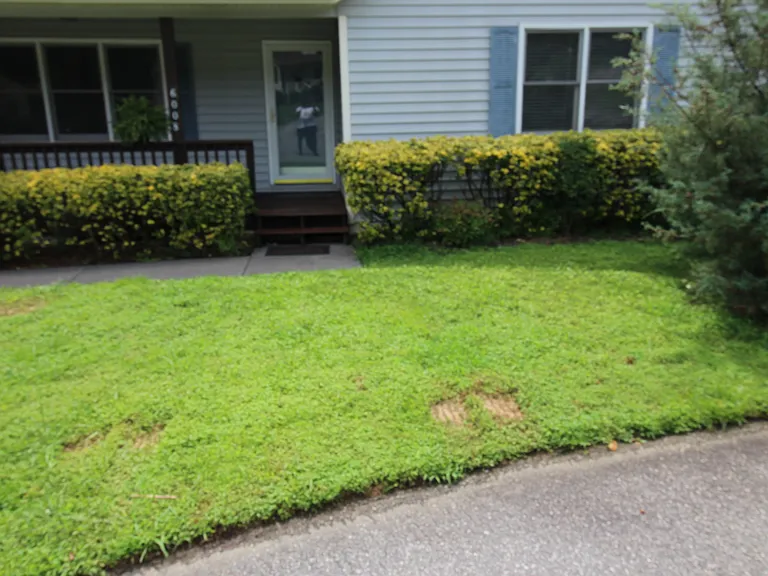 6008 Southcrest Dr — Photo 2