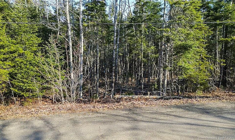 2nd image of 1 Mast Rd #98
