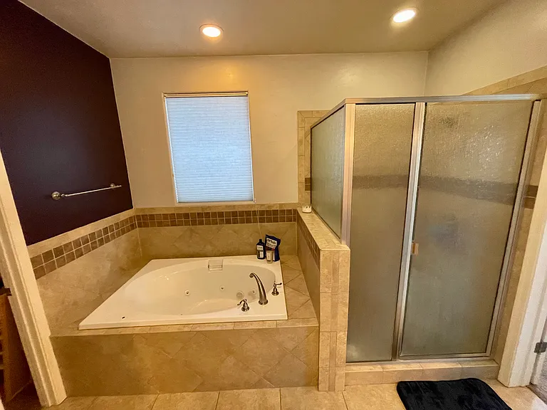 Primary Bathroom Image 2