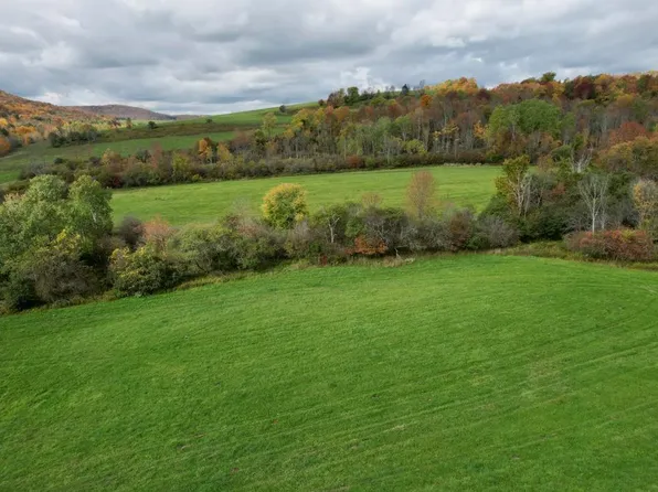 LOT 47 S Lebanon Rd, Earlville, NY 13332