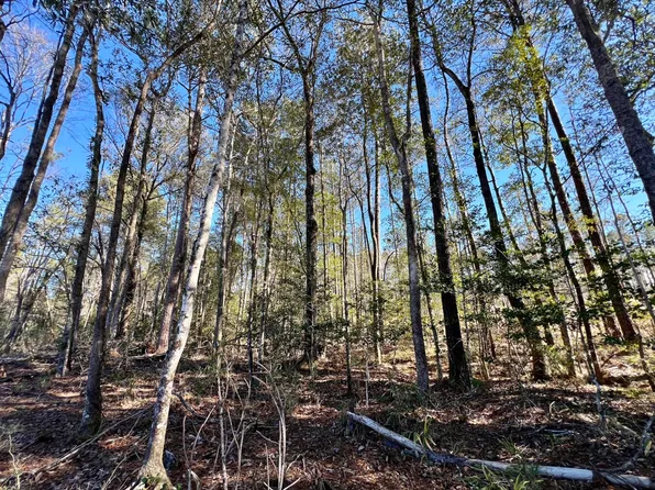 0 Bud Odom Rd, Deer Park, AL 36529