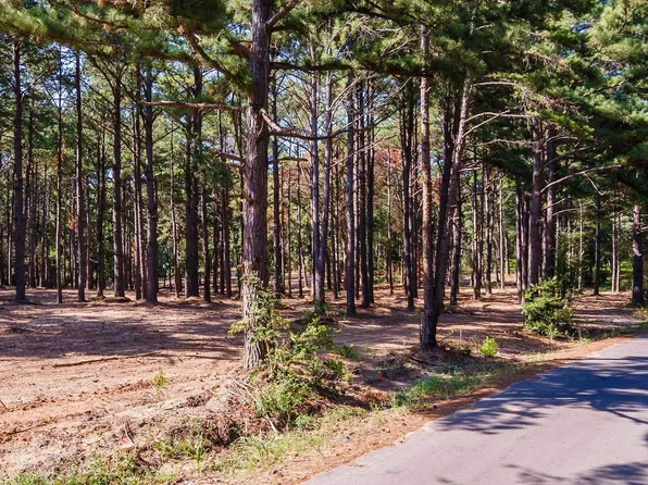 19942 County Road 1102, Flint, TX 75762