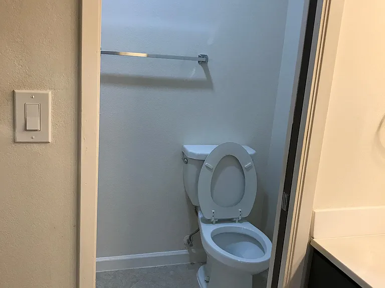 Master bathroom toilet