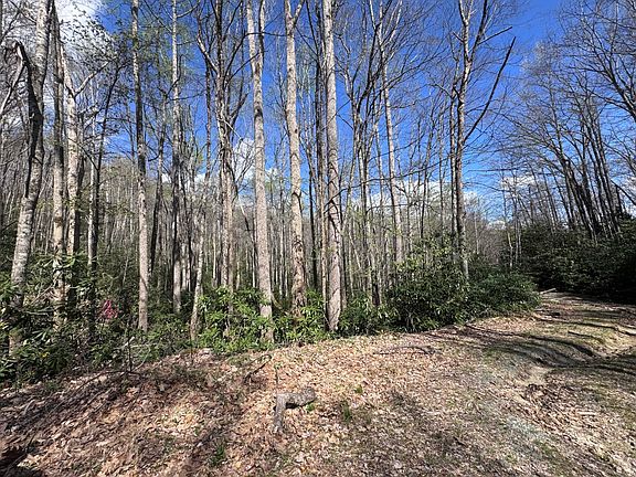 4th image of Red Clover Rd