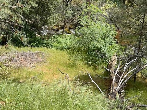3rd image of 43929 Badger Hollow Trl