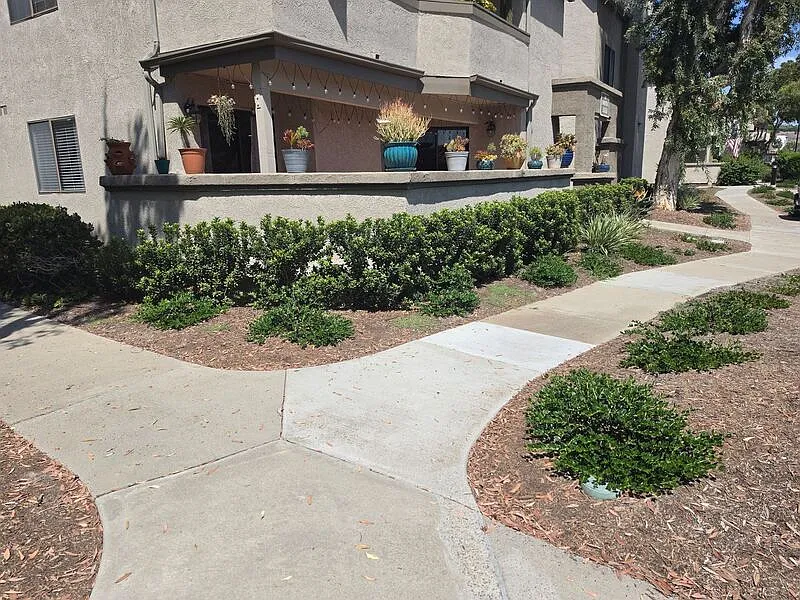3 bed, 2.0 bath, 1100 sqft, $3,800 — Photo 3