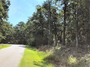 8167 Chisolm Plantation Rd LOT 1, Edisto Island, SC 29438