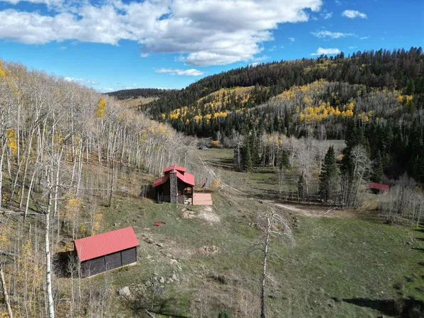 2901 Oso Creek Rd, Powderhorn, CO 81243