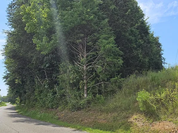 900 Lakeview Dr, New Hope, TN 37380