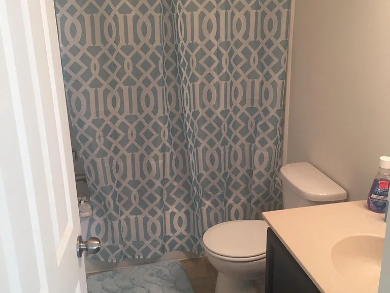 Full hallway bathroom