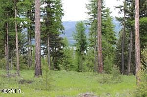 3rd image of 55 Highland Trl