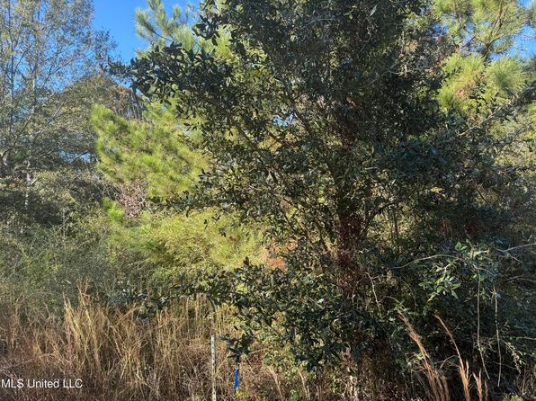 Robert Dubose Rd, Lumberton, MS 39455