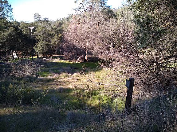 Sunny at back of 2780 Carmel