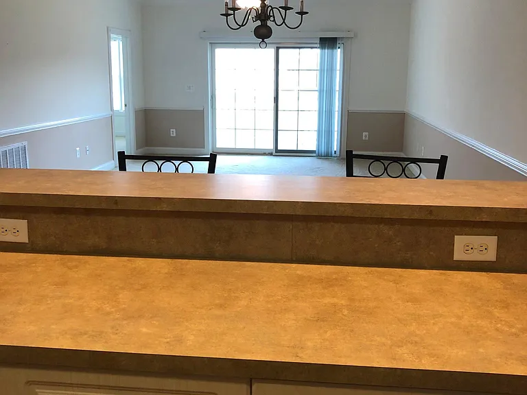 4855 Luster Leaf Cir #303 — Photo 4