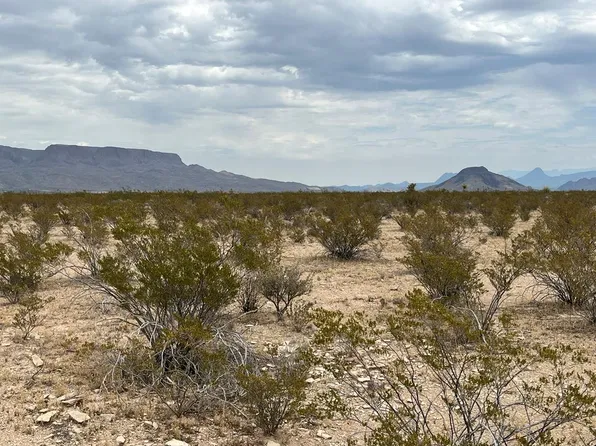 0 Pinks Peak, Terlingua, TX 79852
