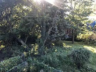 Rented by Home Grown Real Estate