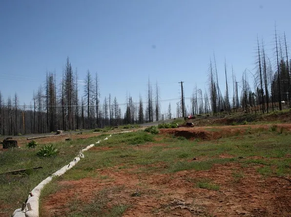 10149 Grizzly Flat Rd, Grizzly Flats, CA 95636