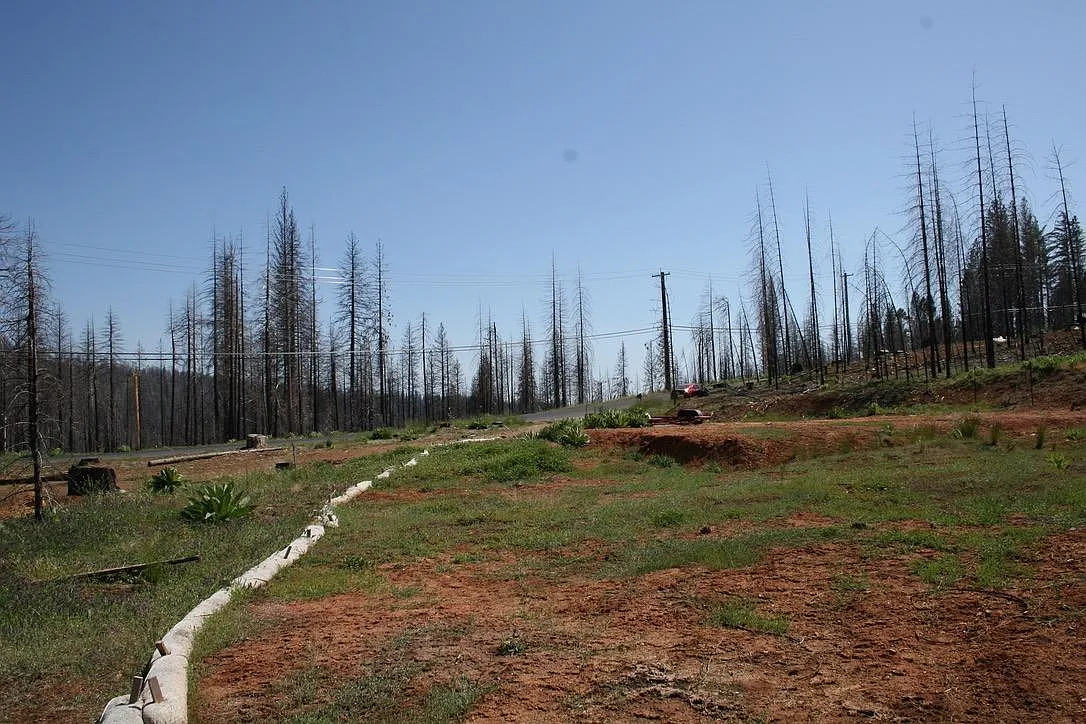 10149 Grizzly Flat Rd photo 1