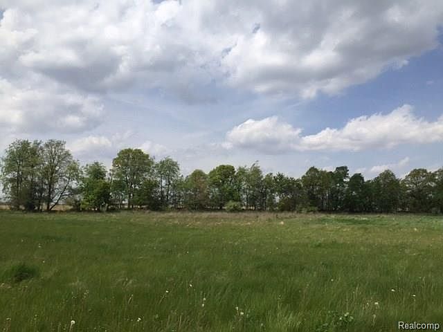 0 Adelines Way Lot 19, Fowlerville, MI 48836