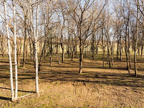 80th image of this home