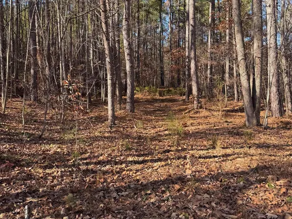 Union Hill Dr, Wingina, VA 24599