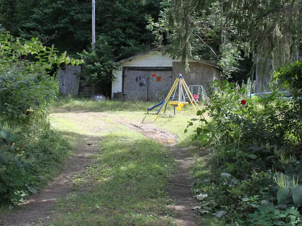 8394 Webster Rd, Camden On Gauley, WV 26208