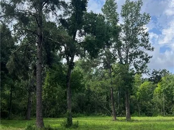 Gliderport Rd, Loranger, LA 70446