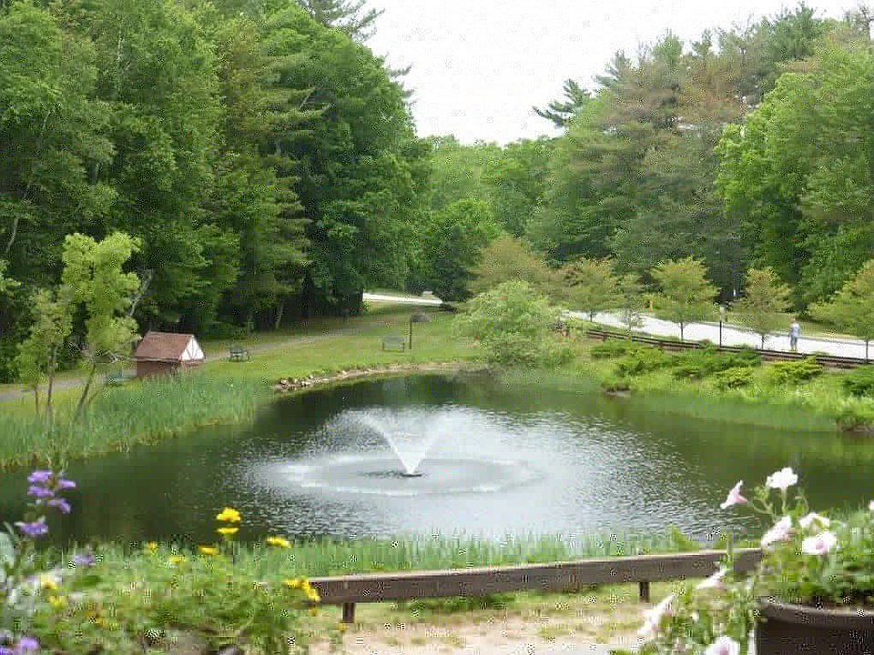Dining/Deck View of the Pond