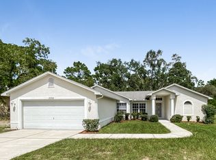 3352 Bluestone Ave, Spring Hill, FL 34609