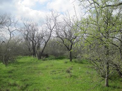 TBD Grandview Lane, Kingsland, TX, 78639