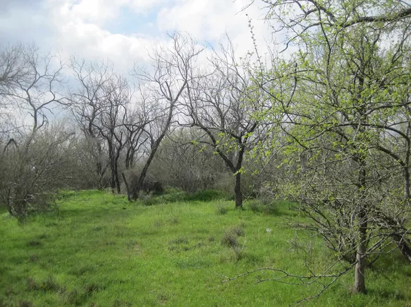 TBD Grandview Lane, Kingsland, TX 78639