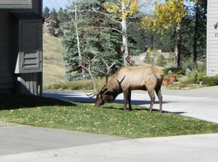 784 Chimney Creek Dr, Golden, CO 80401