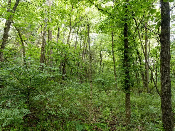 000 Olga Road, Fordland, MO 65652