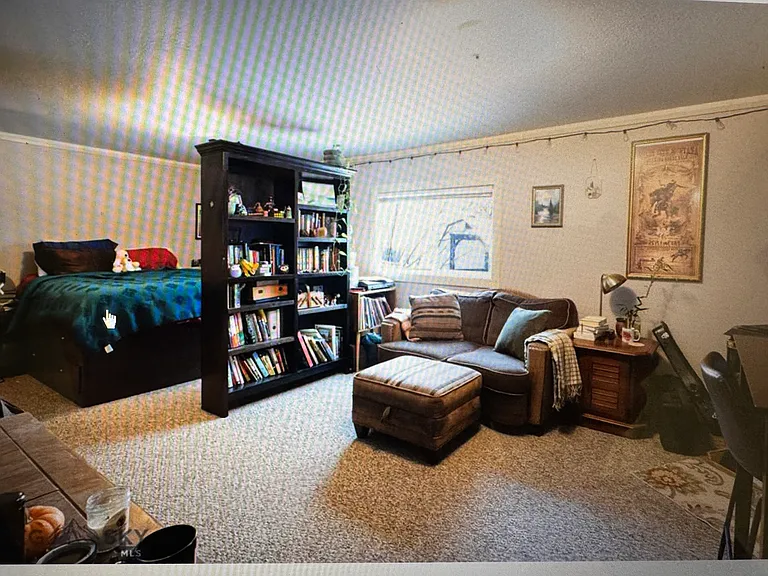 Living area/bed area.