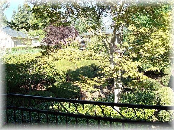 5th image of 11832 Kemper Oaks Ct