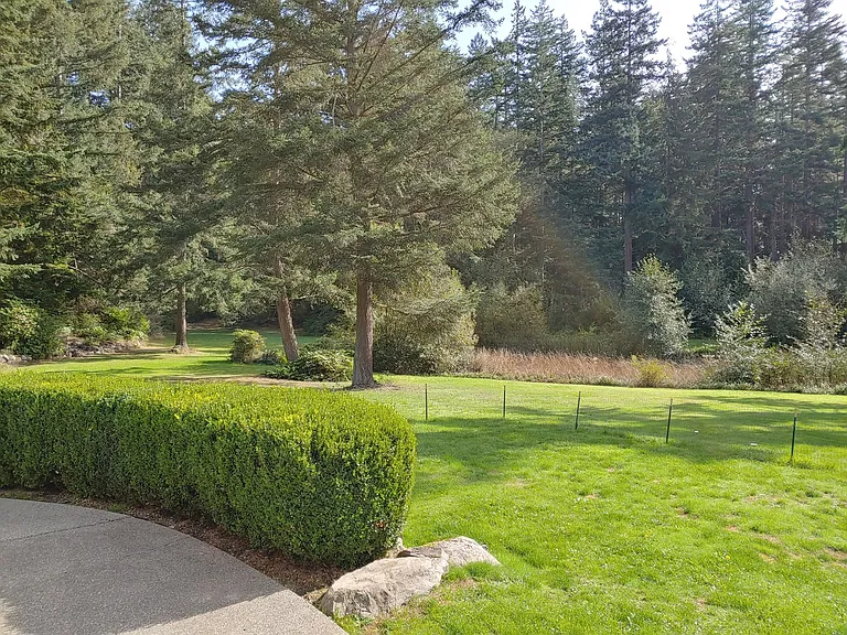 925 Classic Rd — Photo 25