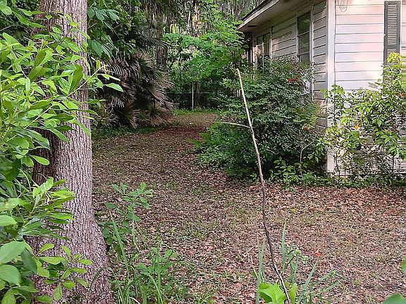 left side of the house 