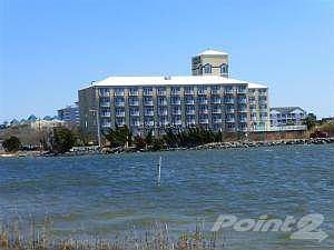 Coconut Malorie From The West