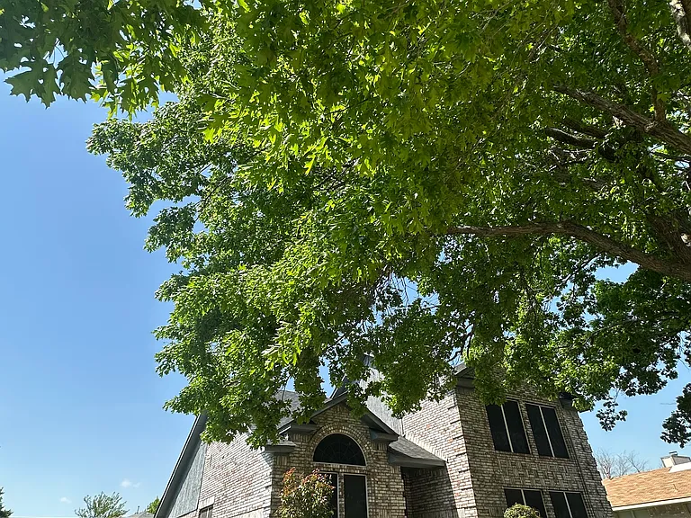 1441 Warwick Dr — Photo 35
