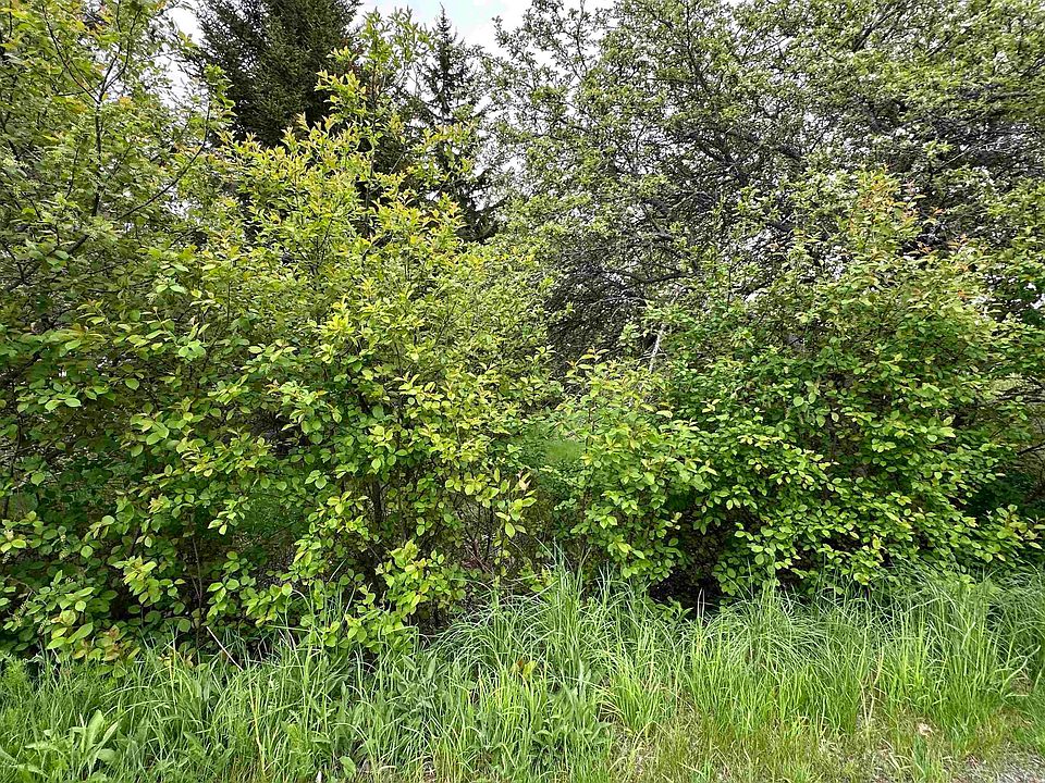 2nd image of LOT Old Row Rd
