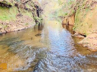 42 Brown Creek Rd, Shiloh, GA 31826