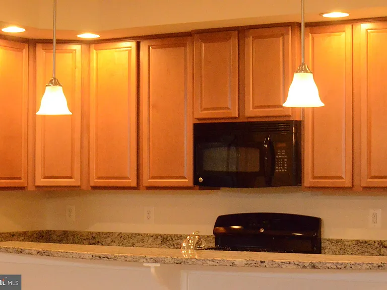 24598 Johnson Oak Ter — Photo 6