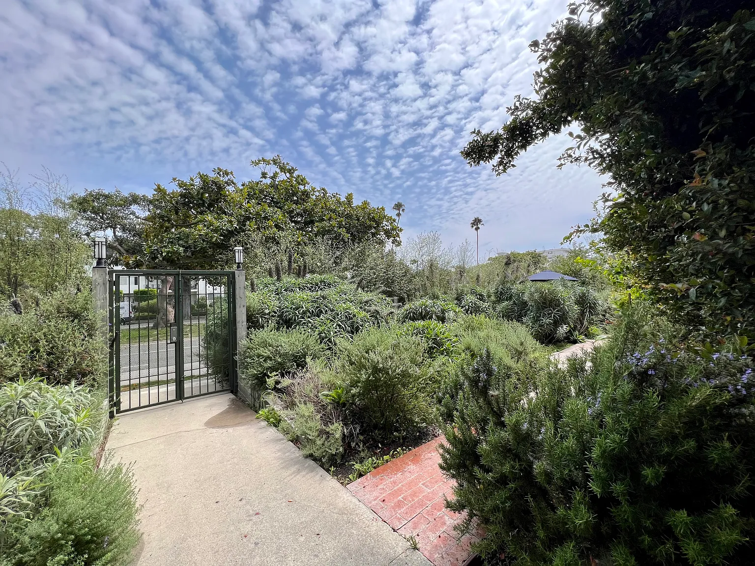 1 bed, 930 sqft, $5,400 — Photo 3