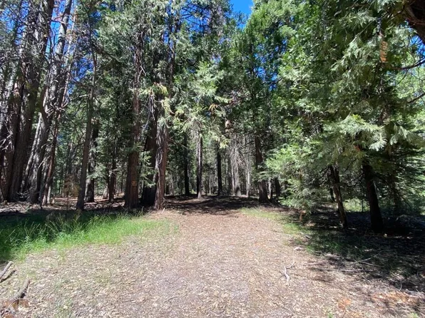 1 S McCloud Dr #C, McCloud, CA 96057