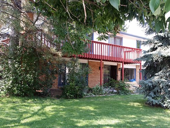 Beautiful Mature Trees