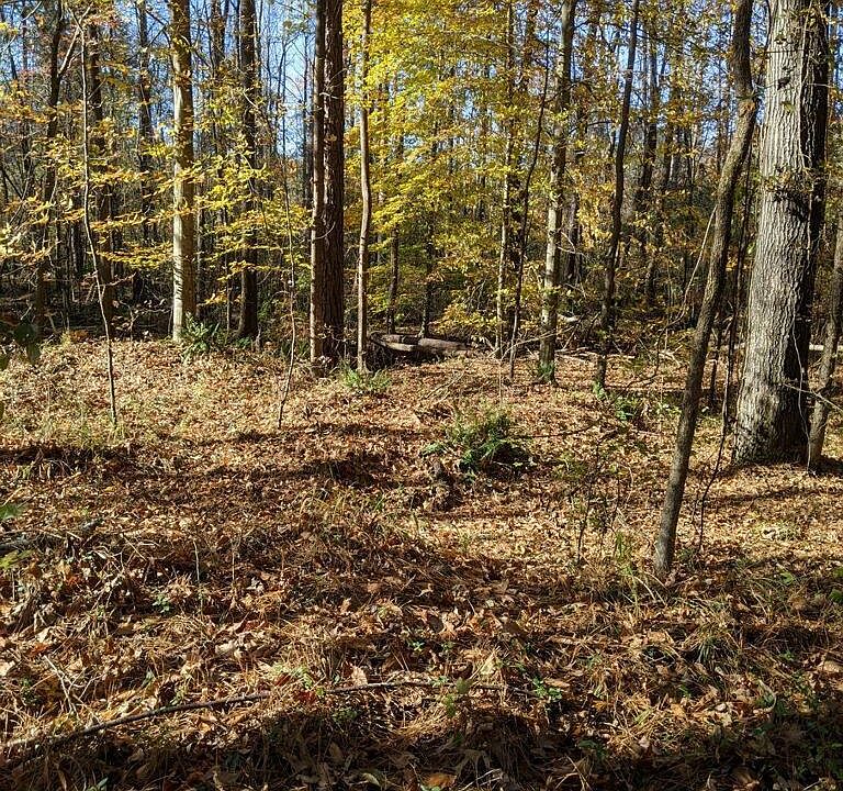 2nd image of 0 Mackey Rd Lot 173