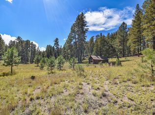 Jemez Mountains Forest Rd #10, Jemez Springs, NM 87025
