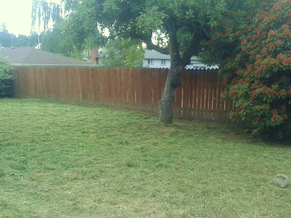 Fully fenced in backyard.