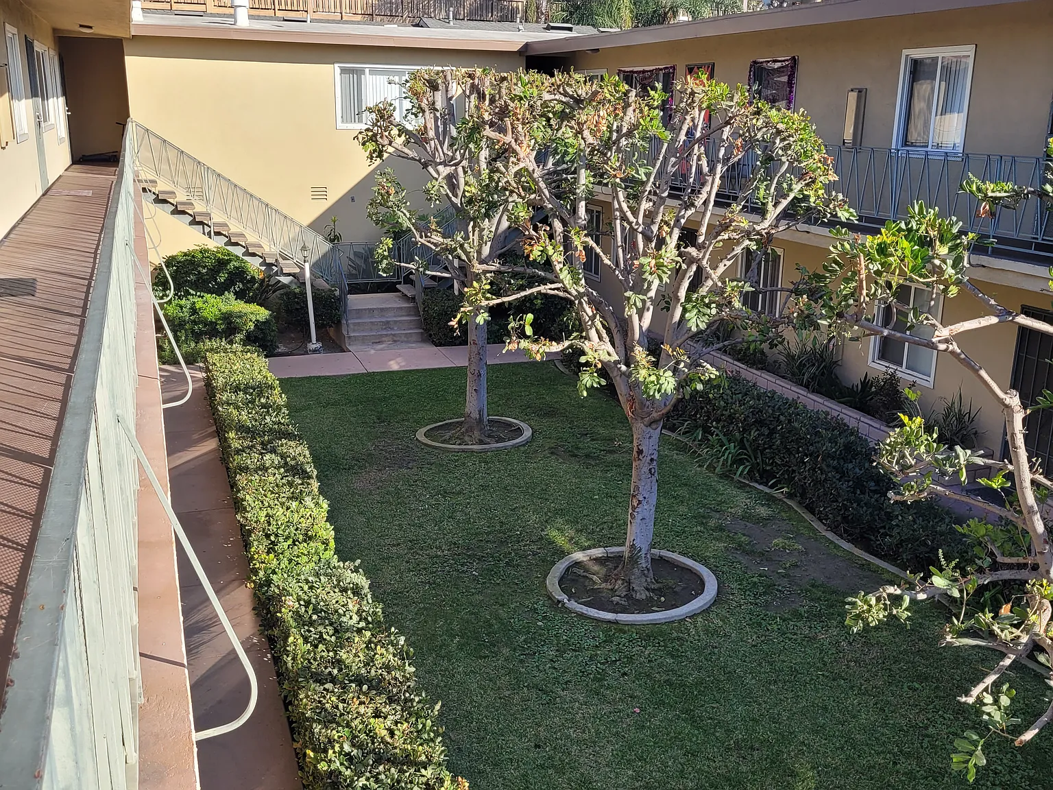 2 bed, 800 sqft, $2,350 — Photo 4